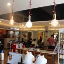 브라운버즈 이미지