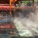 (주)척산온천휴양촌 이미지