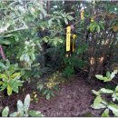 후미2리 이미지