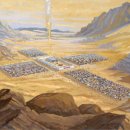 광야축산 | 인류학자의 눈으로 본 레위기 [8] 중앙 성소 (5-2)