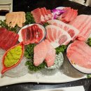 사조회참치 이미지