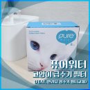 [내돈내산] 퓨어워터 고양이 급수기 필터 (feat. 반려묘 정수기 필터교체)