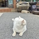 민들레밥상 | 제천 맛집_열두달밥상_포레스트 리솜 근처 건강 밥상