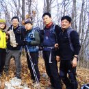 정백사 Daum카페