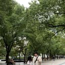 동방두부마을 | 상하이 여행 Day2(릴리안베이커리, 그랜드마더, 동방명주,디즈니랜드 상해)