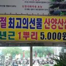 산삼수산 이미지