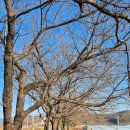 조마면보건지소 이미지