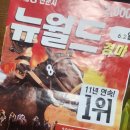 행운파크 | 초심자의 행운은 없었던 과천 경마장(렛츠런파크)후기