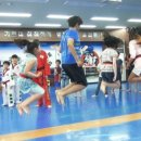 최강동탄경희대태권도장 이미지