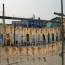 수성반점 이미지