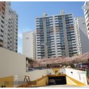 하단동1003 이미지