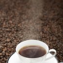 건강의향기 이미지