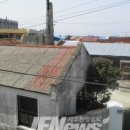 하모리-1 이미지