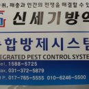 신세기방역 네이버블로그