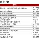 마당극 강아지똥 이미지