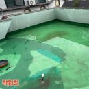 고일 | 수원 옥상배수가 잘안되고 물이 고일때 옥상바닥 수리방법
