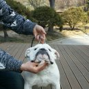 도트 - 당진시 무수동로 152 | 도트