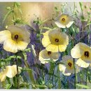 수채화2 이미지