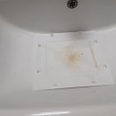 보수2차 봄여름가을겨울 이미지