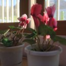 열미리보건진료소 이미지