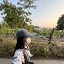 일등생고기