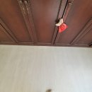 자연애(동남) 네이버블로그