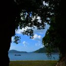 근포땅굴 이미지