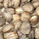 씨앗발전소 이미지