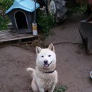 운향농장 이미지