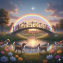 포포즈 | 소중한 아이를 떠나보낸 당신에게, 펫로스 증후군을 함께 견뎌내는 법, 반려견 장례식장 후기, 포포즈 후기