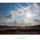 장암 송죽 억새길 이미지