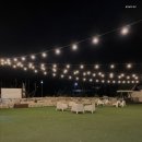 필링펜션 이미지