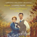 The Electrical life of Louis Wain 이미지