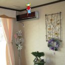 노블레스팬션 이미지