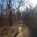 굴다리주유소 이미지