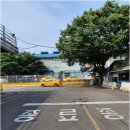 새풀로 | 계양 운전면허학원 효성자동차운전학원 단번에 합격 후기