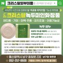 크리스탈피부미용;녹두미인 | 울산 남구 피부관리 녹두 화장품 전문 크리스탈피부미용(본점)