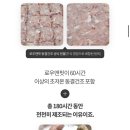 오션 캣 이미지