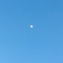 썬플라워펜션 이미지