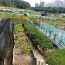 광주농장2 이미지