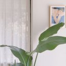 브로우코드 속눈썹&눈썹 이미지