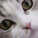 이안홈스토어 이미지