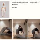 부디무드라 팬츠 리뷰 I 키티 와이드 Kitty wide &amp; 멜리펫 Melipat