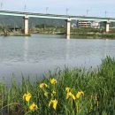 삼랑진목욕탕 이미지