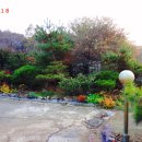 미류조경관리 이미지