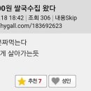 미야옹 이미지
