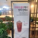 마실다실더플라워 네이버블로그