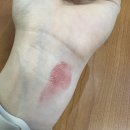 퓨어그루밍 | 다이소 뷰티 색조 후기! (손앤박 아티 스프레드 컬러밤, 트윙클팝 퓨어 글래스 틴트, 코코가가 그루밍...