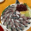 인생스낵 | [목동 맛집] 콜키지 프리로 즐기는 역대급 제철 회 맛집, '강릉스낵' 솔직 후기!