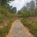 늘솔길근린공원 이미지